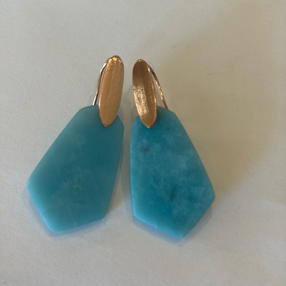 Kendra Scott earrings. Rose gold